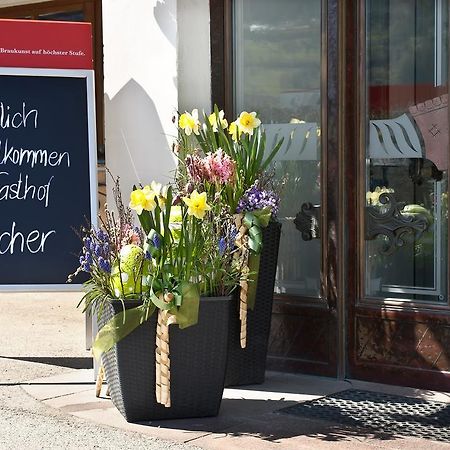 Hotel Gasthaus Bacher St. Johann im Pongau Exterior foto